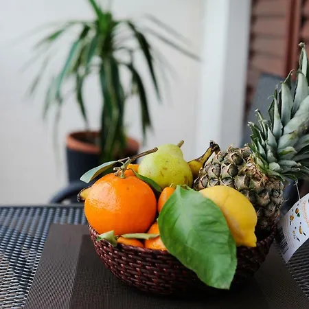 Apartman Anita *